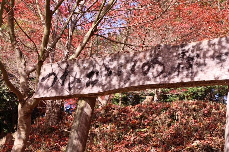2008年から使われた「つながりの森」の看板