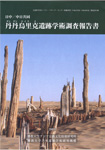 『 中日・日中共同丹丹烏里克遺跡学術調査報告書 』

(2007)

