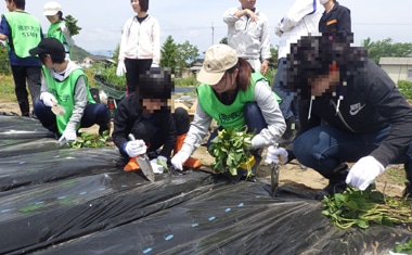 立ち直り農業体験