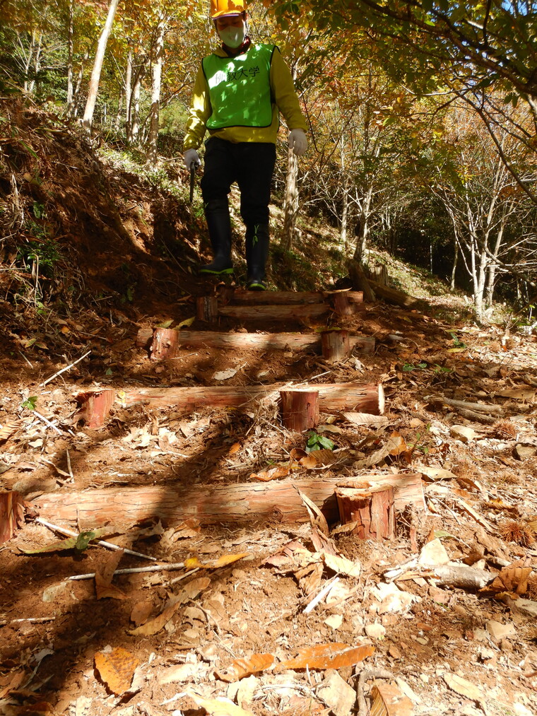 今回は、5段の階段が完成しました。