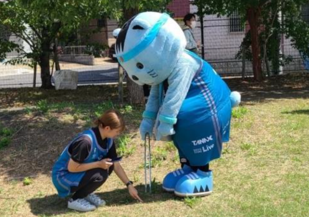 プロギングのようす