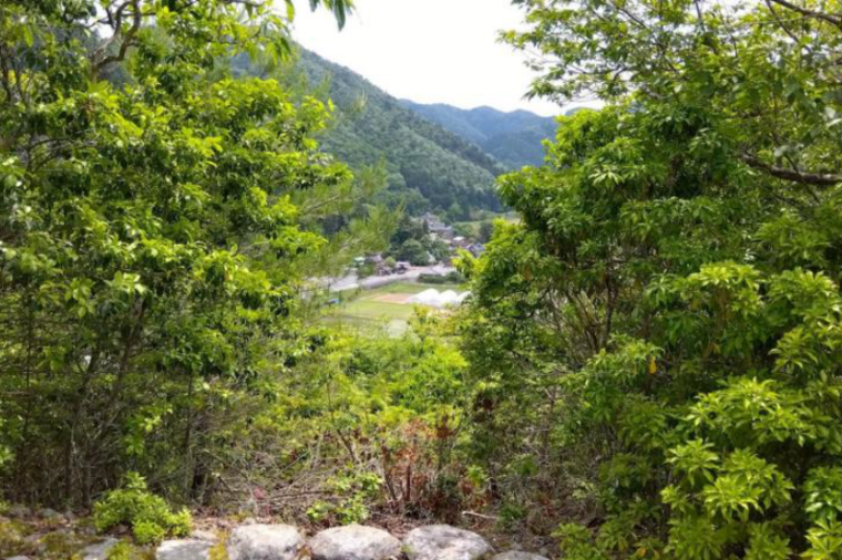 作業前の景観