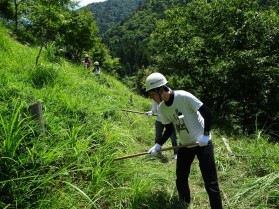 モデルフォレスト運動（森林保全活動）下草刈りを実施