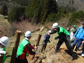 モデルフォレスト運動（森林保全活動）遊歩道の整備を実施