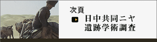 次頁日中共同ニヤ遺跡学術調査