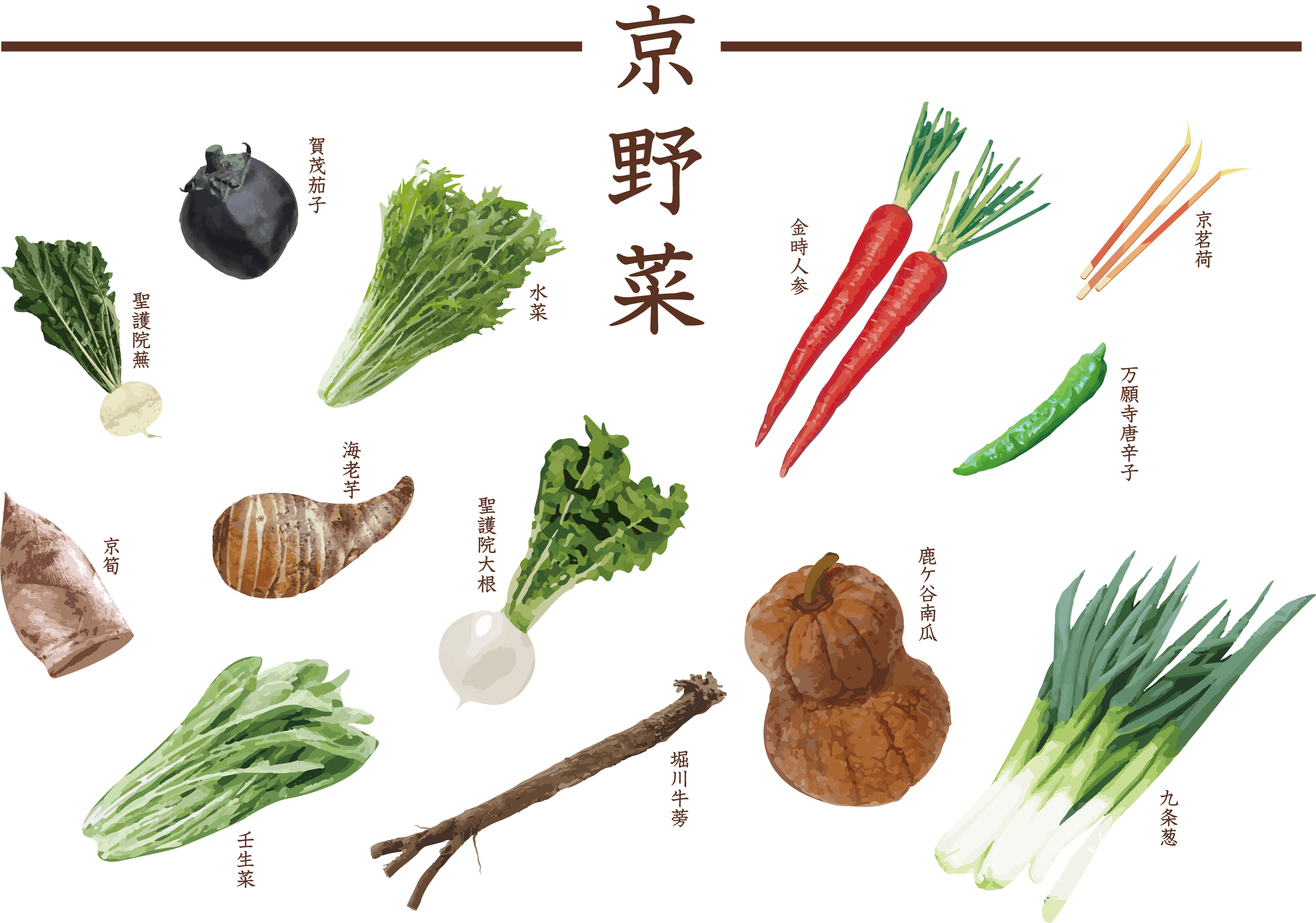 【12月ピックアップ】WAのこころ「京野菜」_2134596.jpg