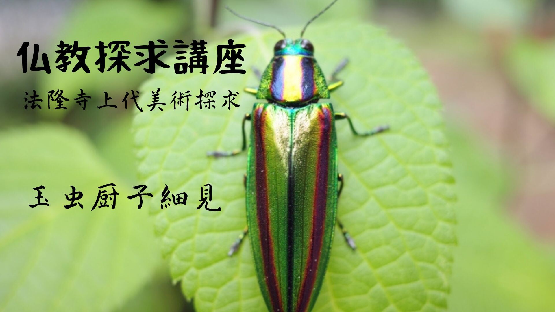 【2月ピックアップ】（完成版）玉虫「仏教探求講座」_5191778_s.jpg