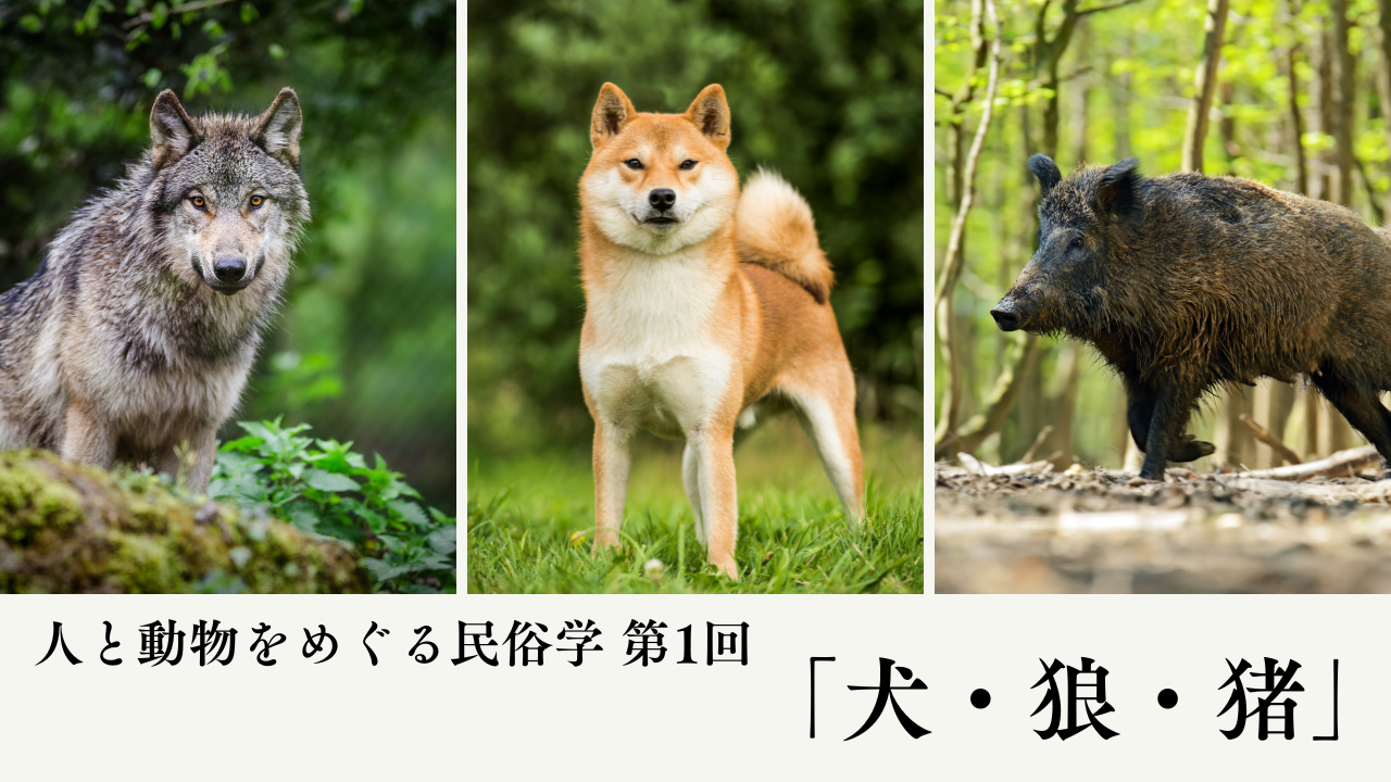 HPピックアップ【26前期】 (9).png