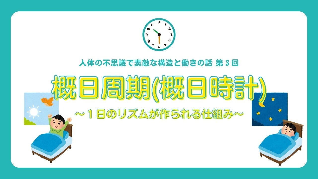 07_人体の不思議.jpg